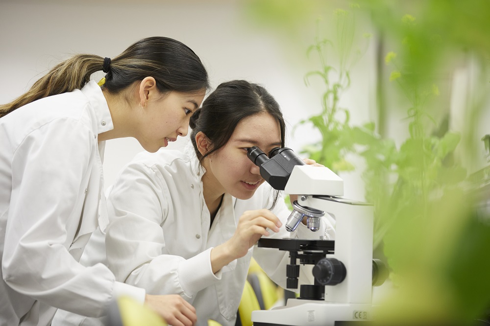 Vinschool hợp tác với Tổ chức giáo dục NCUK (Anh) về chương trình dự bị đại học